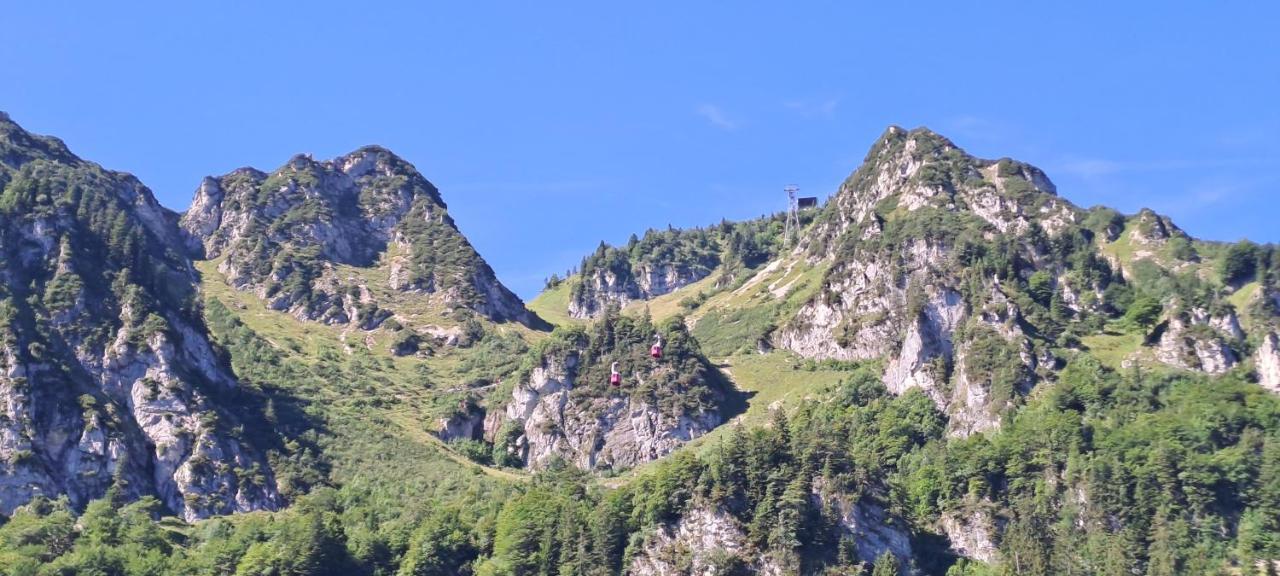 Laerche 2 - Chiemgaukarte Inklusive- Apartment Инцел Екстериор снимка